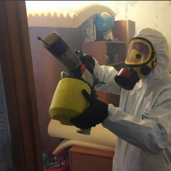 Уничтожение клопов в квартире. Валуйки